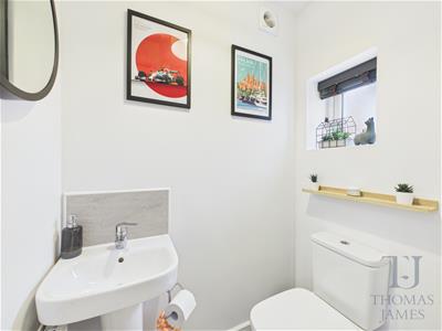 Picture 7